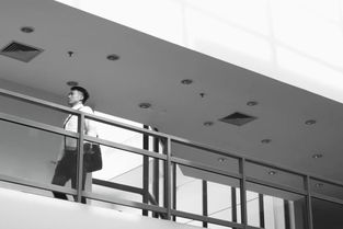 頂級安全評級的記錄，這款SUV只適合高顏值奶爸？