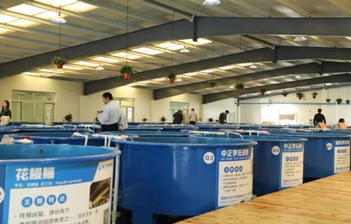 首屆廣東漁業種博會 沒想到你是這樣的博覽會！