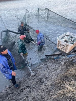 物流受阻、飼料告急、銷路不暢——多地畜牧漁業遭遇疫情沖擊波