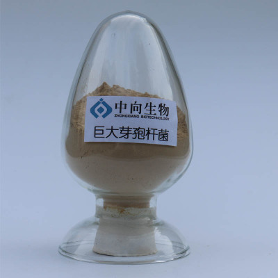 構(gòu)建綠色現(xiàn)代農(nóng)業(yè)體系 從田間到餐桌的全鏈條創(chuàng)新